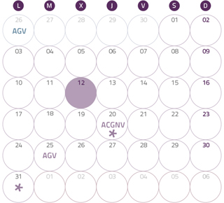 Calendario del Territorio Común. julio