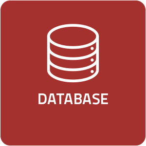 Data Base