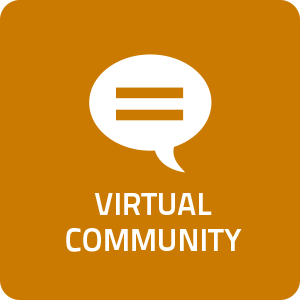 Virtual Community