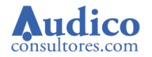 AUDICO CONSULTORES, S.L.